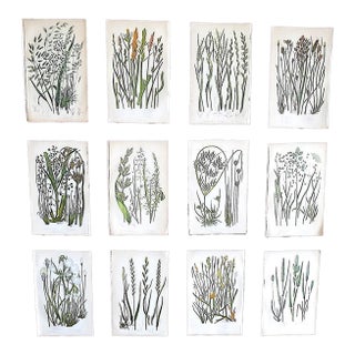 Antique 19th Century Botanical Lithographs - Set of 12 For Sale