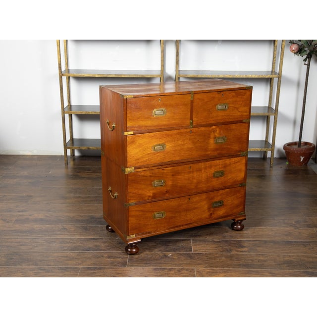 English 1840s Mahogany Campaign Chest with Five Drawers and Brass Hardware For Sale - Image 11 of 12