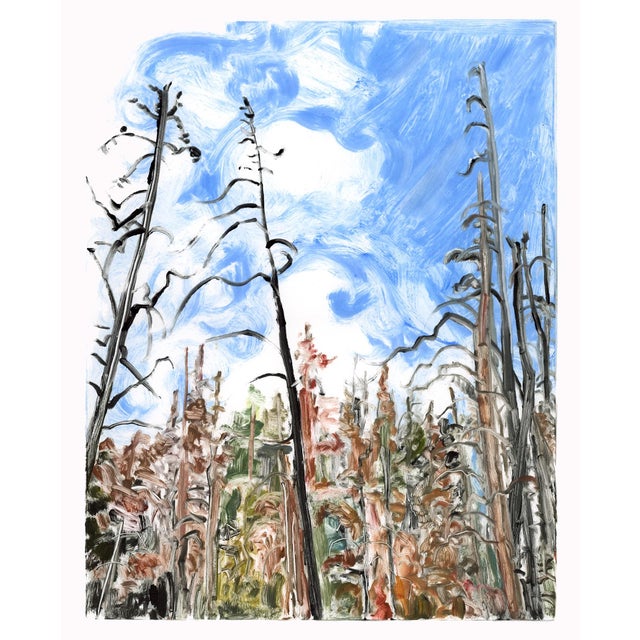Blue Sky, Beetle Kill by Ivy Hickam | Monotype Landscape with dead trees and blue sky For Sale