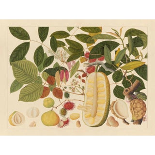 Golden Tropic Botanicals, Giclée Print #1 For Sale