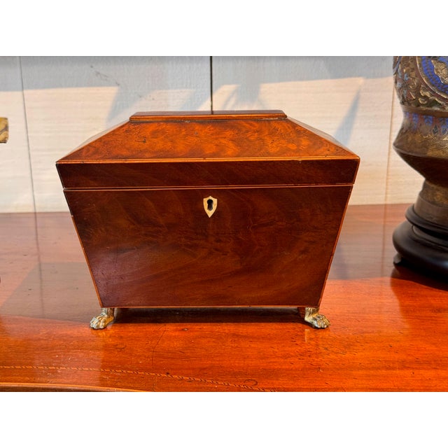 A tea caddy of sarcophagus form with canted sides and a stepped pyramidal lid, the figured veneers framed in fine light...