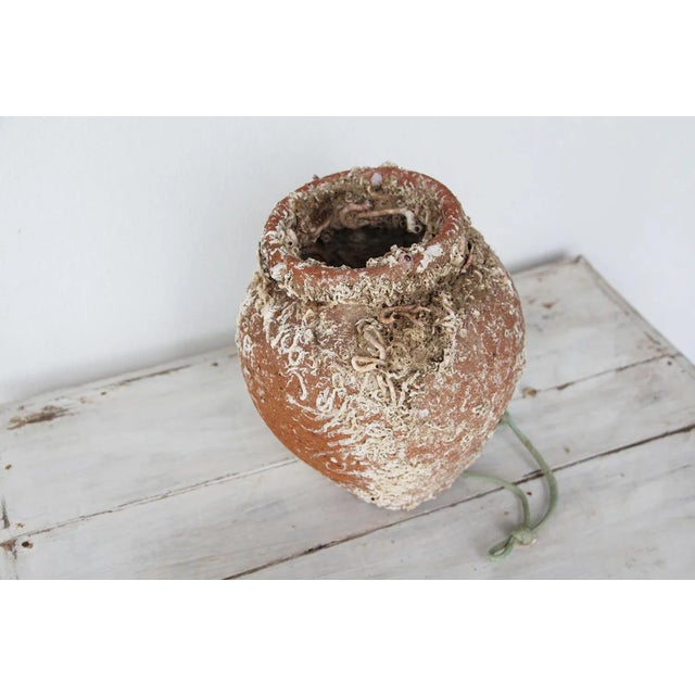 19th Century Terracotta Octopus Trap Vase For Sale - Image 4 of 12