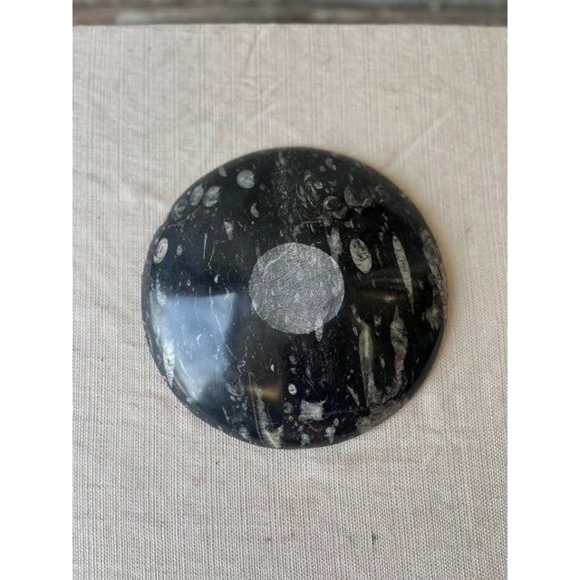 Goniatite Bowl For Sale In New York - Image 6 of 8