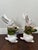 Mid 20th Century Ceramic Bunnies - A Pair For Sale In Phoenix - Image 6 of 13