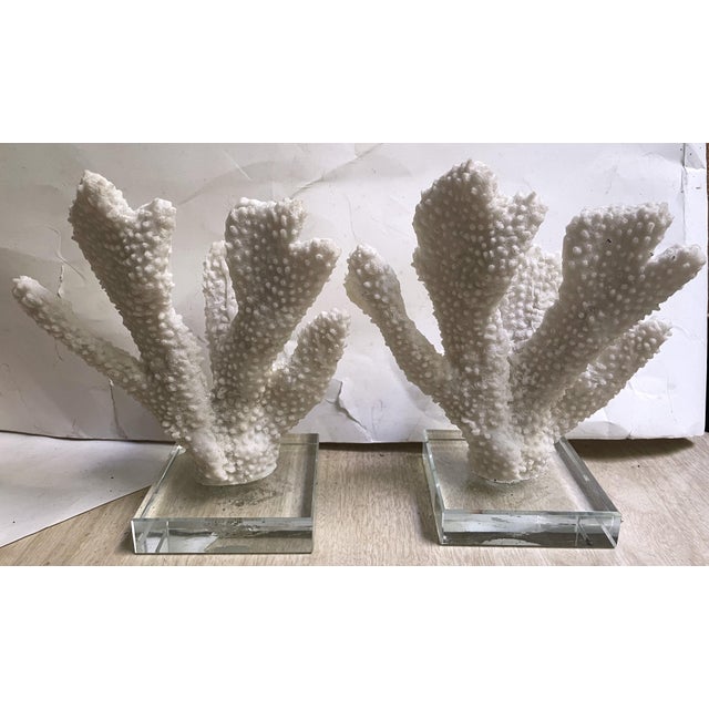 Late 20th Century Pair Faux Coral White Thick Finger Mounted on Glass Decorative Objects For Sale - Image 5 of 12
