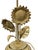 Brass Sunflower Table Lamp For Sale - Image 6 of 8