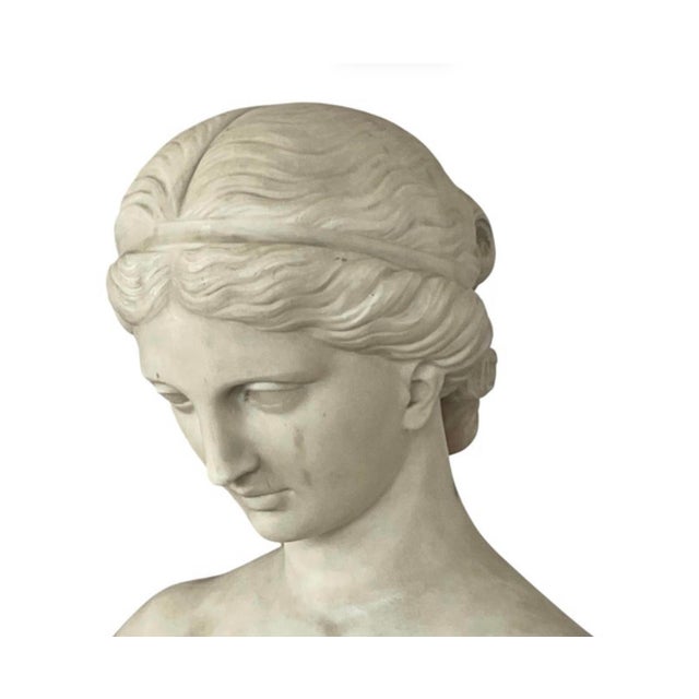 Italian Carved Marble Bust of a Young Woman For Sale - Image 15 of 16