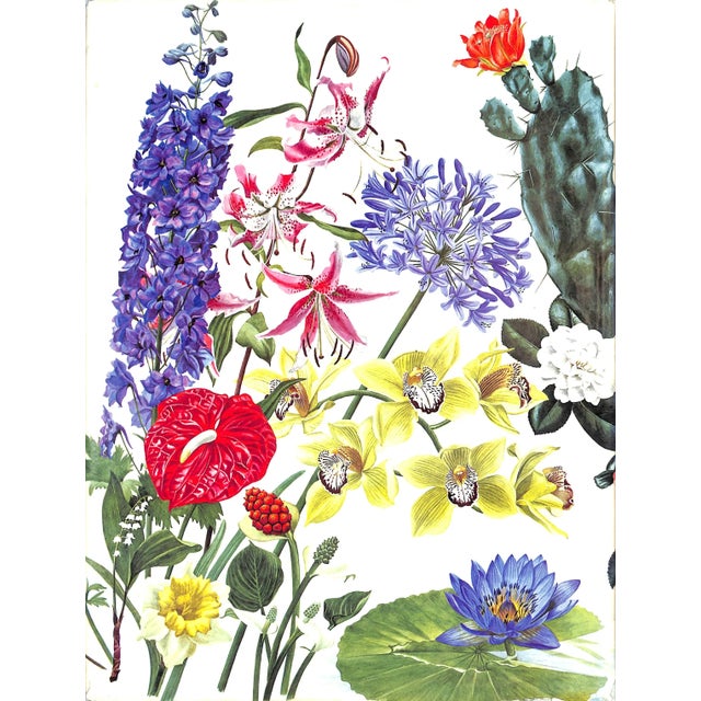 White "Flowers of the World" Book 1972 Perry, Frances, Greenwood, Leslie [Illustrated By] For Sale - Image 8 of 9