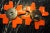 Ceramic Puzzle Sconces in Red Ceramic from Hustadt Leuchten, Germany, 1960s, Set of 2 For Sale - Image 7 of 8
