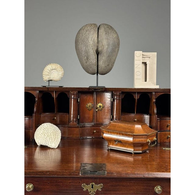 English Secretary in Teak, 18th Century For Sale - Image 17 of 18