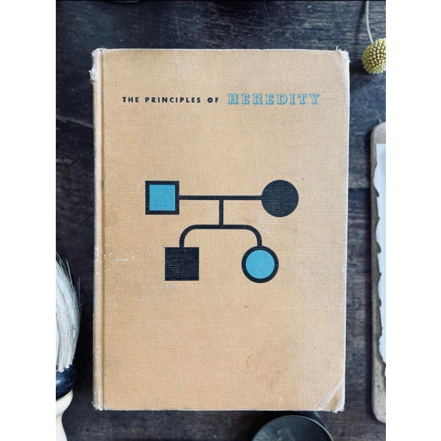1950s 1957 the Principles of Heredity For Sale - Image 5 of 10