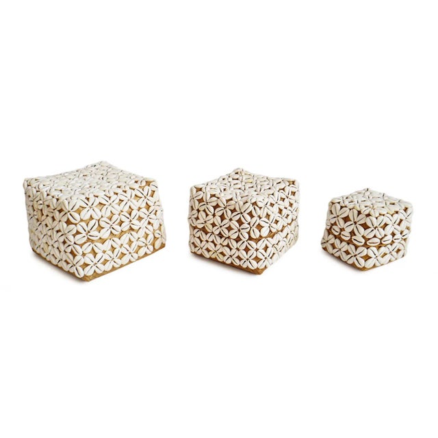 Cowry Shell Box Medium For Sale - Image 4 of 7