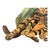 Original artwork by Chicago artist, Nancy Weinberg (1922-2020), 1991. Large tabby cat reclining in plants painted on cut...