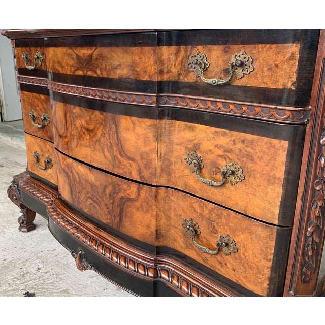 1900s Venetian Baroque Commode Chest of Drawers in Burl Walnut with Ebonized Det For Sale - Image 9 of 18