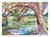 Wonderful watercolor landscape of a tree by the pond by Aptos, California artist Virginia Hughins (American, 1923-2004)....