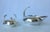 Vintage; Mid-Century French silver service by the Escapade Company, a handmade artisanal silver company. These pieces are...