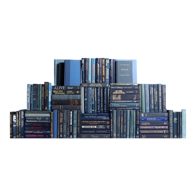 Decorative Books - Denim Book Wall - Set of 100 Blue Books For Sale