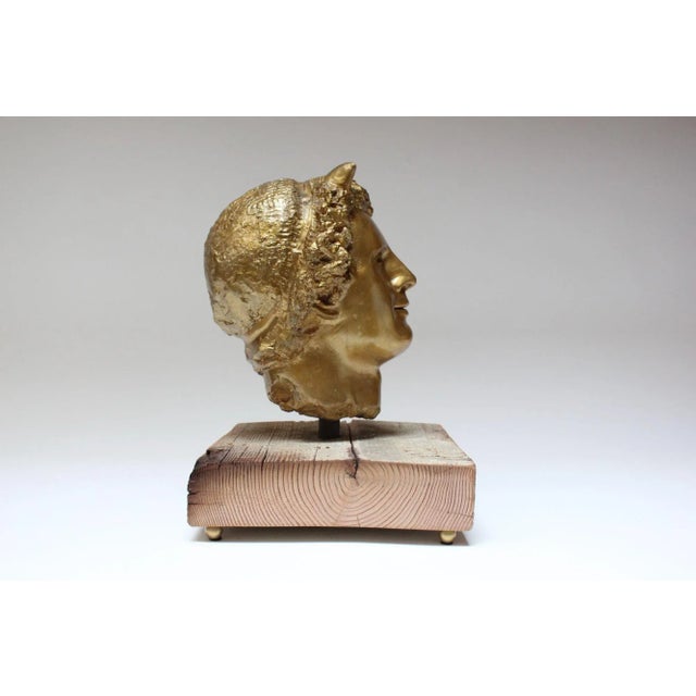 1970s Vintage Sculpture / Bust of Mythological Deity "Pan" in Painted Plaster Cast For Sale - Image 5 of 12
