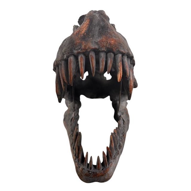 21”W x 13 1/2”H x 10”D This striking late 20th-century cast resin sculpture of a Tyrannosaurus Rex skull offers a powerful...