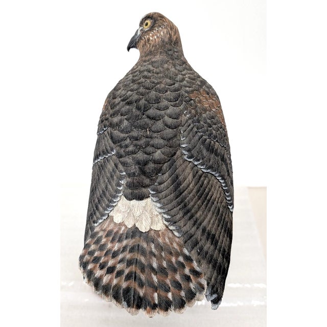 The Northern Harrier, a highly versatile raptor, thrives in a variety of expansive, primarily low-vegetation environments...