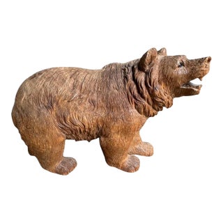 Late 19th Century Brienz Black Forest Bear With Glass Eyes For Sale