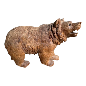 Late 19th Century Brienz Black Forest Bear With Glass Eyes