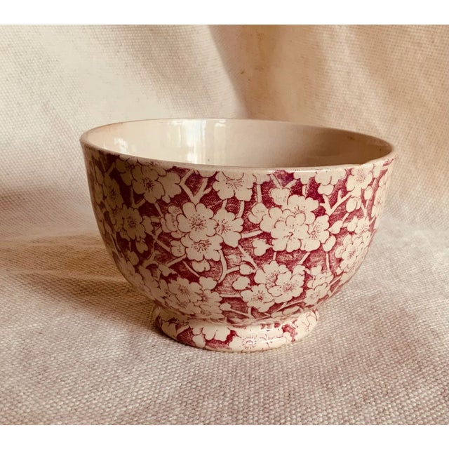 Antique Staffordshire Child's Tea Set, British Anchor Pottery, Apple Blossom Pattern, Circa 1850 For Sale - Image 12 of 12