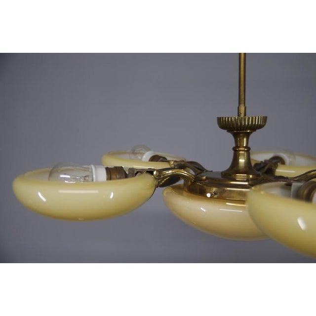 Art Nouveau Six-Light Brass Chandelier by Jencik, Czechoslovakia, 1920s For Sale - Image 14 of 17