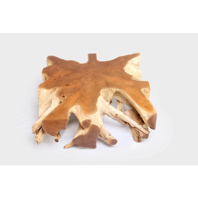 Square 36" Inch Organic Teak Root Coffee Table 52 For Sale In Greensboro - Image 6 of 6