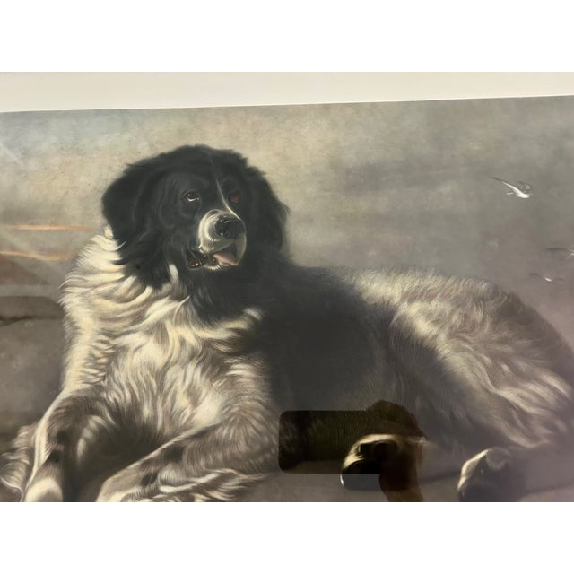 Sir Edwin Henry Landseer Vintage 1990's Sir Edwin Landseer Dog Engraving Reproduction, Large Burlwood Frame For Sale - Image 4 of 10
