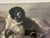 Sir Edwin Henry Landseer Vintage 1990's Sir Edwin Landseer Dog Engraving Reproduction, Large Burlwood Frame For Sale - Image 4 of 10