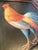 1950s Mid Century Rooster Oil Painting With Spanish Baroque Style Frame For Sale - Image 11 of 18