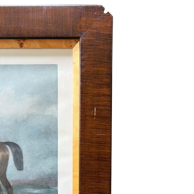 Wood 19th-Century Pair of Equestrian Engravings – Framed Antique Hunting Prints by William Barraud For Sale - Image 7 of 12