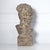 Light Gray Mid Century Plaster Life-Size Bust of David Sculpture For Sale - Image 8 of 12
