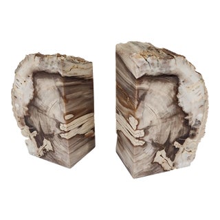 1970s Set of Mid Century Modern Petrified Wood Bookends For Sale