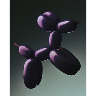 Figuración by Oscar Calleja – Limited Edition Still Life Photograph | Framed Metal Print, Ready to Hang For Sale