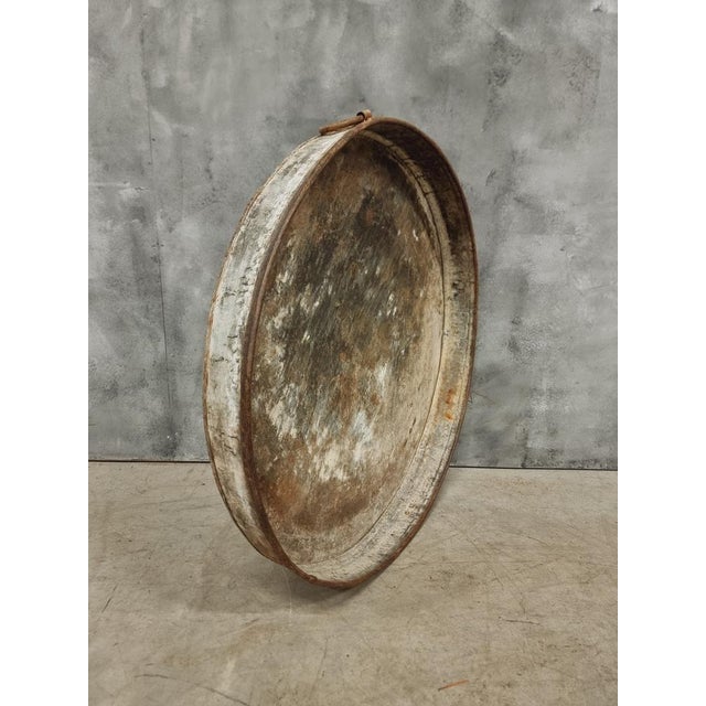 Large Zinc Plate Grape Tray, 1890s For Sale - Image 4 of 11