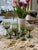 Offering a complete glassware service set of vintage green glassware by Sasaki of Japan. 7 glasses per set. Multiples sets...