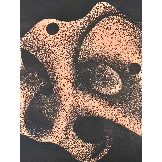 Irene Miller Stein Signed Framed Abstract Black White Serigraph Earth Fertility For Sale - Image 15 of 18