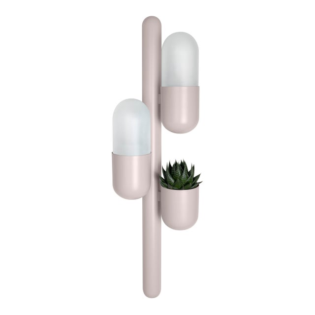 Cactus Wall Lamps by Creativemary, Set of 2 For Sale - Image 4 of 10