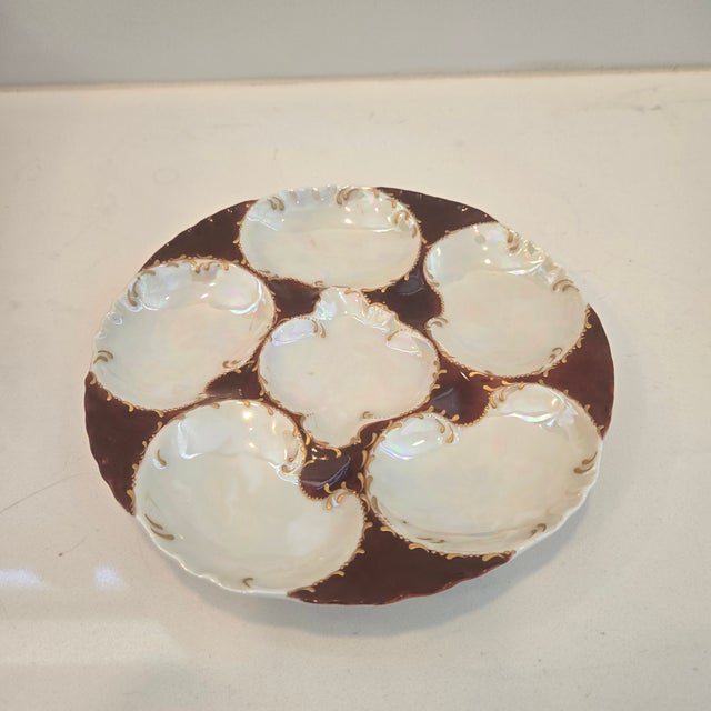 Antique Haviland Limoges Oyster Plate For Sale - Image 13 of 18