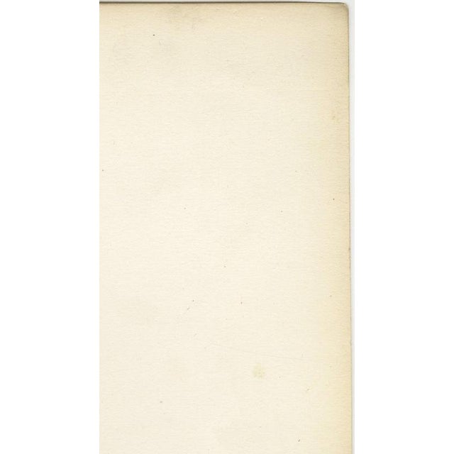 Paper Hirschfeld and Leveille, Vagus and Sympathetic Nerves of the Trunk, 1866, Paper For Sale - Image 7 of 12