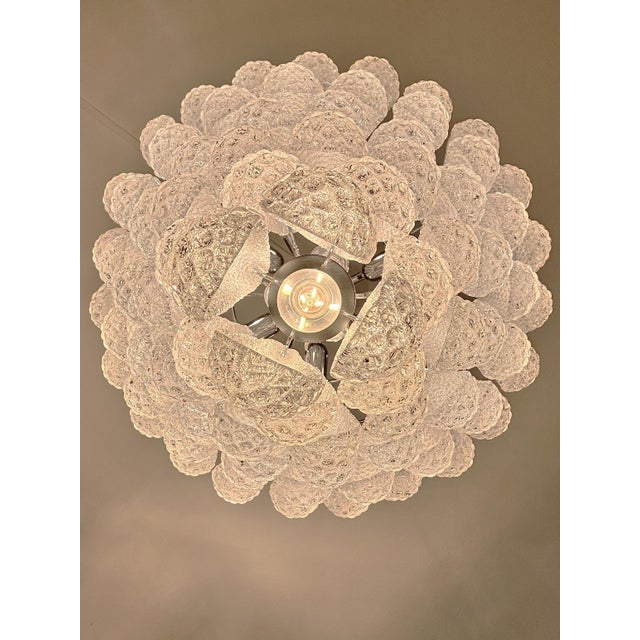 Venetian Luxury lid.century-modern "Conchiglie" Murano Glass Chandelier For Sale - Image 6 of 6