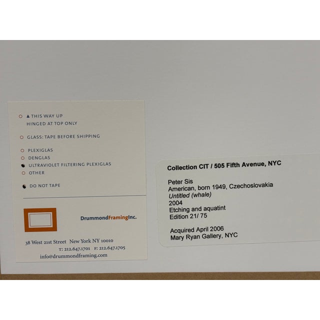 Peter Sís Untitled (Whale), 2004 Etching and Aquatint 21/75, Signed - Framed For Sale - Image 11 of 12