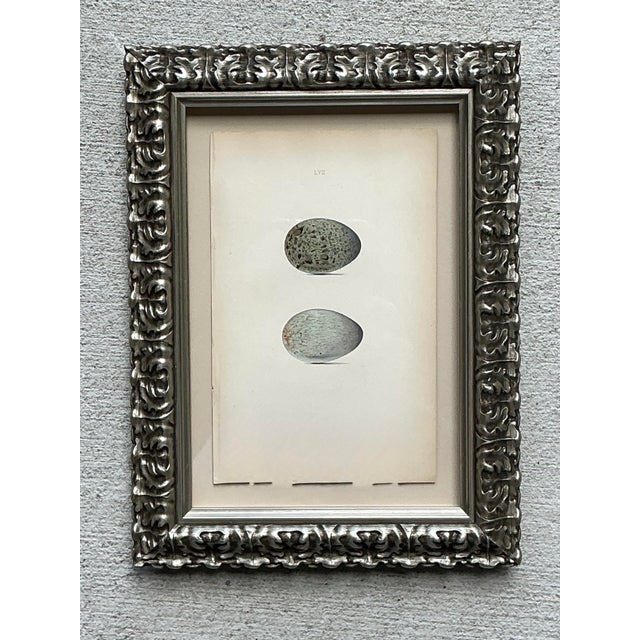 Wood Vintage Original Book Plate of an Egg For Sale - Image 7 of 12