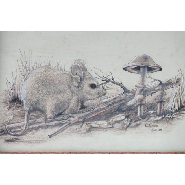 Late 20th Century The Mouse the Mushroom Original Pencil Drawling Signed, Framed For Sale - Image 4 of 4