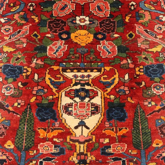 Bakhtiary Rug in Cotton and Wool For Sale - Image 4 of 9