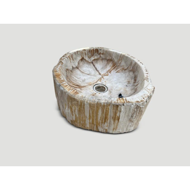 2010s Andrianna Shamaris Petrified Wood Sink For Sale - Image 5 of 6