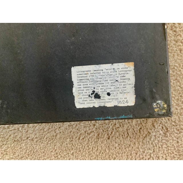 Tan Rare Lion Vintage Framed Wildlife Lithograph Print -#1/8, From a 4-Part Series For Sale - Image 8 of 9