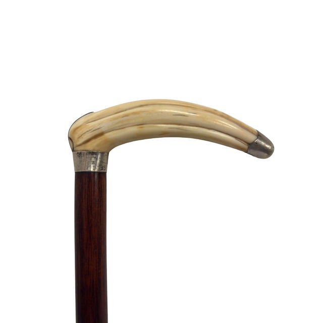 Antique Cane With Bone & Sterling Handle For Sale - Image 4 of 8